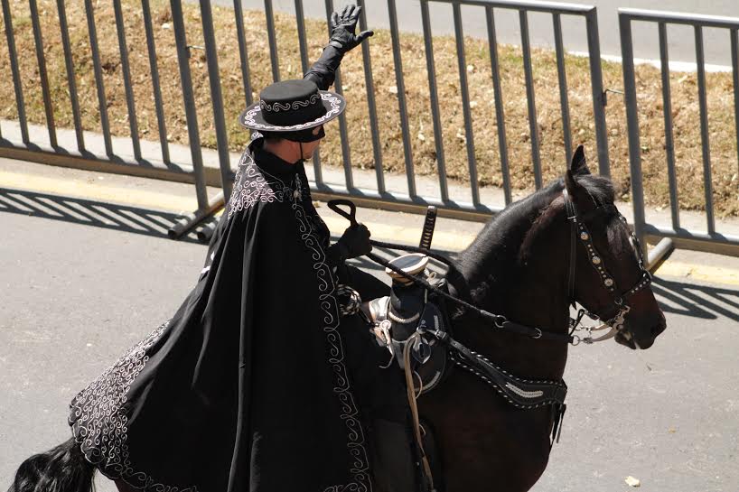 El zorro